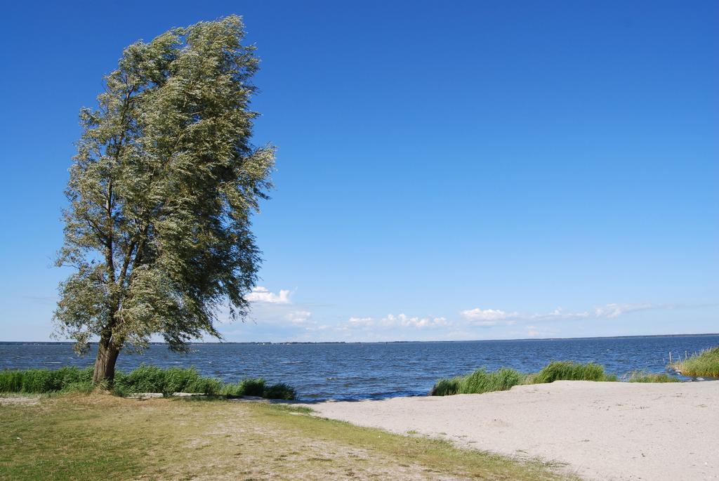 Ferienhaus Mit Garten Am Bodstedter Bodden Exterior photo